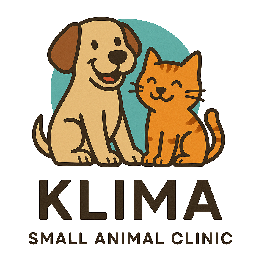 Klima Logo